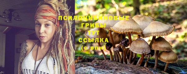 spice Арсеньев