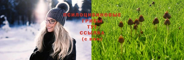 амф Баксан