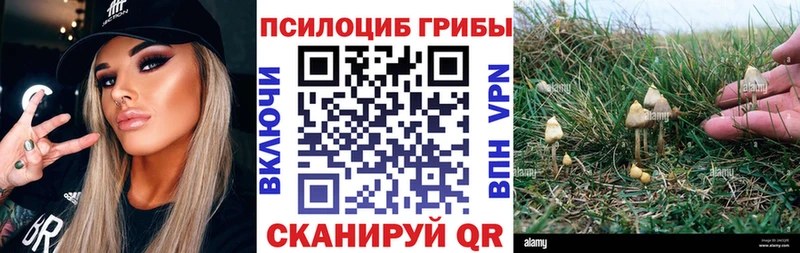 даркнет сайт  Георгиевск  гидра зеркало  Галлюциногенные грибы мухоморы 