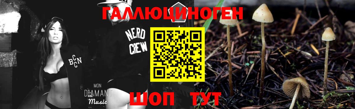 Галлюциногенные грибы мицелий  Вход с VPN  Георгиевск 