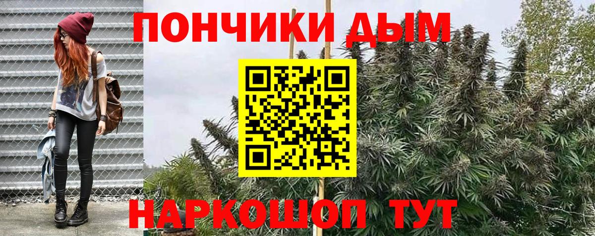 Бошки марихуана ГИДРОПОН Георгиевск